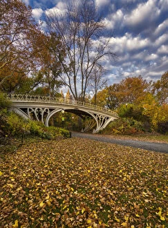 Images Dated 23rd December 2015: Bridge in New York Citys Central Park on a colorful autumn day