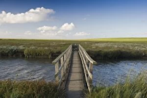 Bridge and salt meadows, Westerheversand, Westerhever, Eiderstedt, North Frisia, Schleswig-Holstein, Germany