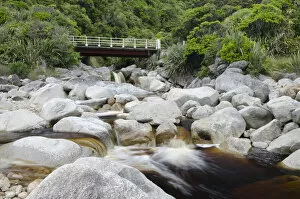 Images Dated 10th December 2011: Bridge over a stream with brown water, coloured by plant tannins, condensed proanthocyanidins