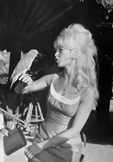 Brigitte Bardot Talking to Parrot