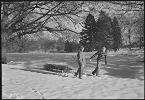 Photographers Model Prints: Bringing in Christmas Tree