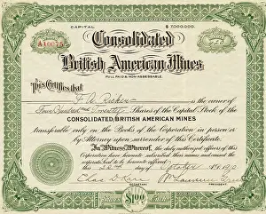 British American Mines Certificate