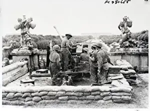 Anti Prints: British Anti Aircraft Gun On Palace