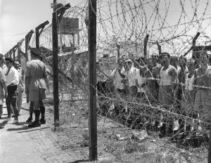 Barrier Prints: The British Belsen