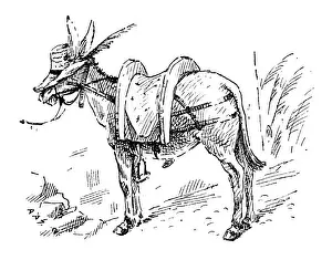 British London Satire Caricatures Comics Cartoon Illustration Prints: British London satire caricatures comics cartoon illustrations: Donkey with hat