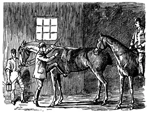 British London satire caricatures comics cartoon illustrations: Man and horse