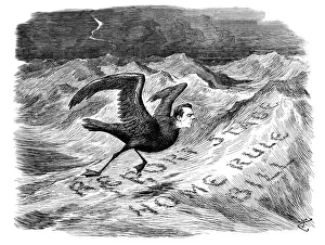 British London satire caricatures comics cartoon illustrations: Man petrel