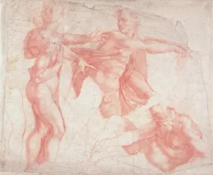 Muscles Prints: British Museum, London, UK
