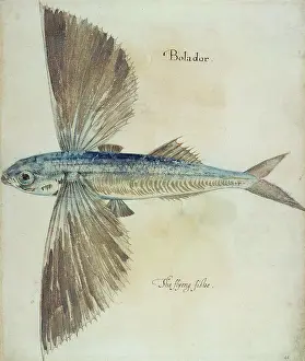 Watercolor Prints: British Museum, London, UK