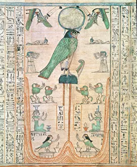 Falcon Prints: British Museum, London, UK