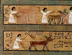 Worker Prints: British Museum, London, UK