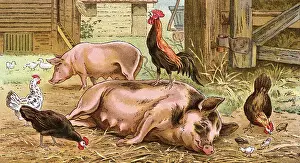 British Victorian Print of Familiarity Breeds Contempt