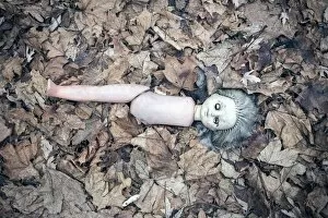 Eerie, Haunting, Abandon, Chernobyl Gallery: Broken doll lying in the front garden of an abandoned kindergarten, village in the