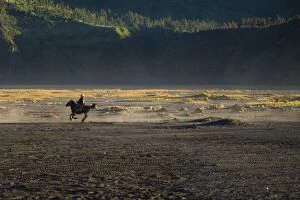Images Dated 14th September 2013: Bromo horseman, MT.Bromo Indonesia