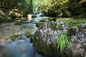 Stream Flowing Water Gallery: Brook of Myra Falls, Muggendorf, Lower Austria, Austria