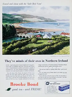 Huty24806 Prints: Brooke Bond Tea