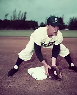 Brooklyn Dodger, Pee Wee Reese