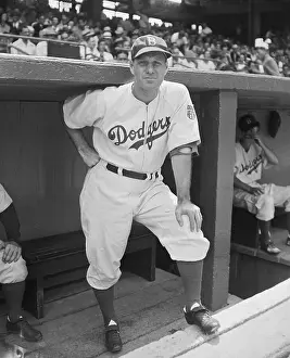 Dugout Prints: Brooklyn Dodgers Manager Leo Durocher