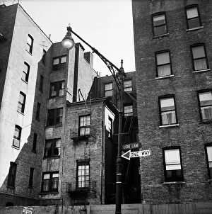 Prints of BROOKLYN, NY - MARCH 1958: A view of Love Lane in Brooklyn Heights in March 1958 in New York City, New York. (Photo by David Attie/Getty Images) Portraits, Artworks, and Montages from a Visionary Photographer: Brooklyn Heights