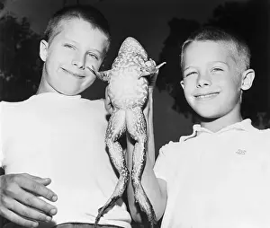 Frog Prints: Brothers with Found Frog Pet