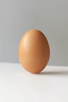 Images Dated 17th July 2012: A brown egg