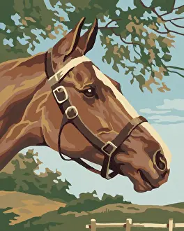 Brown Horse