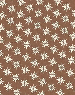 Images Dated 16th January 2015: Brown Pattern