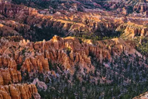 Images Dated 29th March 2015: Bryce Canyon Hoodos