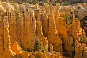 Images Dated 1st November 2016: Bryce Canyon National Park, Utah, USA