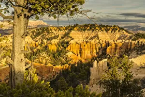 Images Dated 31st October 2016: Bryce Canyon National Park, Utah, USA