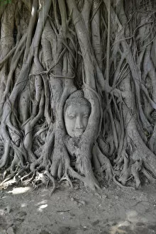 Images Dated 19th June 2016: Buddha, Ayutthaya, Thailand