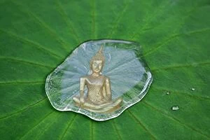 Buddha statue reflected in a drop of water on a lotus leaf