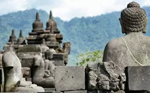 Images Dated 17th April 2013: Buddha Statues at Borobudur Temple