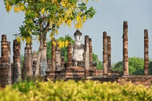 Images Dated 27th April 2017: Buddha statues at Wat Mahathat, Sukhothai, Thailand