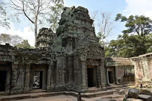 Intertwined Collection: Buddhist architecture at Ta Prohm temple Angkor Cambodia