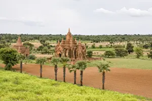 Buddhist pagodas