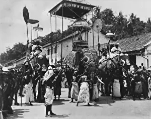 Buddhist Procession