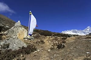 Images Dated 19th November 2014: Buddhist Stupa with Prayer flags, Dingboche villag