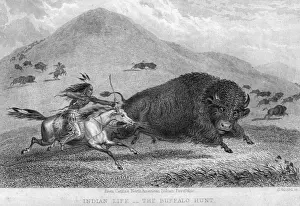 Timeline Native Prints: Buffalo And Arrow