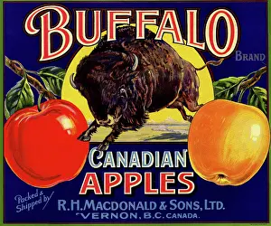 Buffalo Prints: Buffalo Canadian Apples