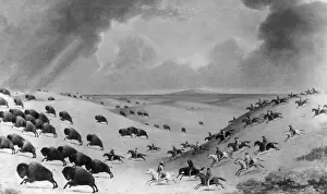 Three Lions Prints: Buffalo Hunt