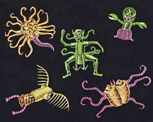 Pest Collection: Bug Creatures