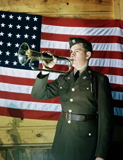 Bugler in US Military