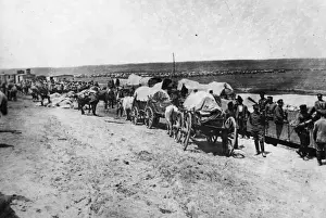 Transport H Prints: Bulgarian Army