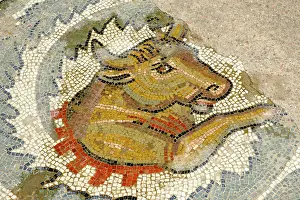 Excavation Prints: Bull, antique Roman floor mosaic