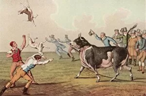Images Dated 22nd April 2018: Bull Baiting