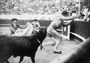 Lisbon Prints: Bull Goring Bullfighter