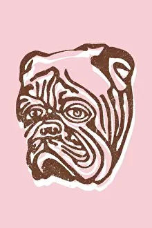 Facial Prints: Bulldog