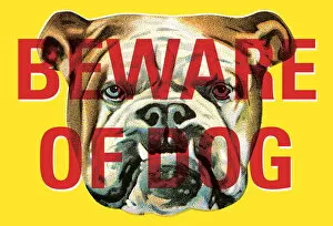 Images Dated 13th April 2004: Bulldog: beware of dog