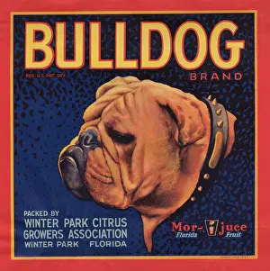Citrus Prints: Bulldog Brand